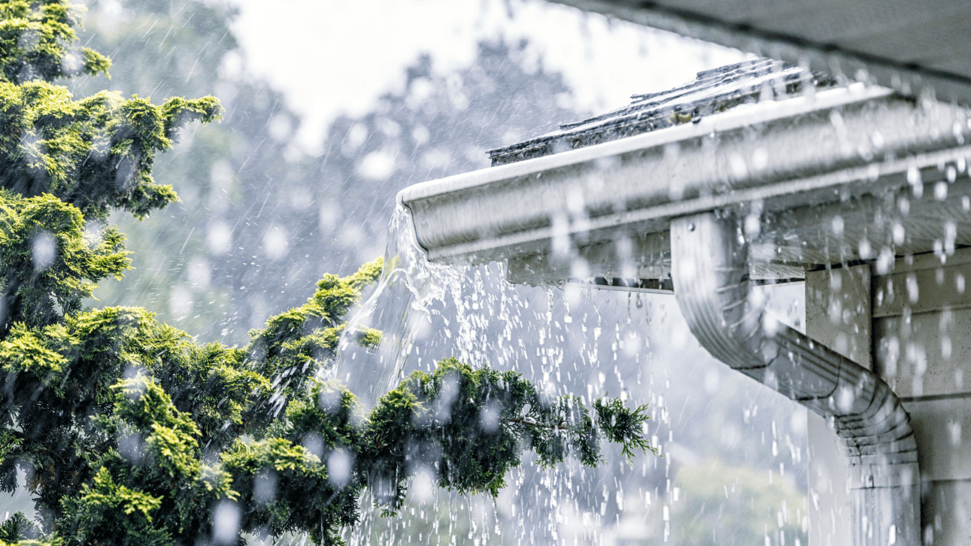 The Impact of Nashville Winters on Gutters and How to Prevent Damage 1