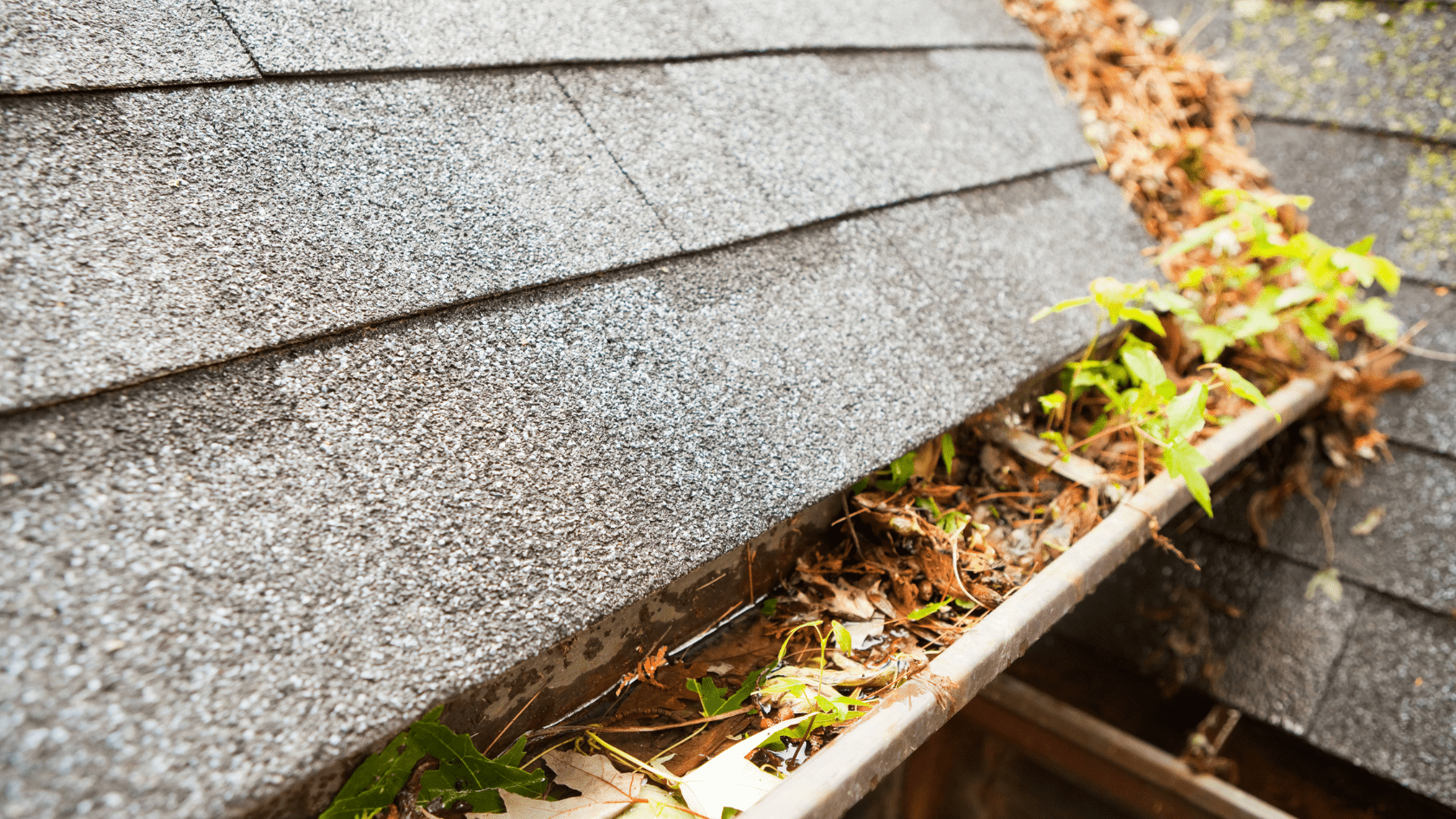 The Real Cost of Ignoring Gutter Repairs in Tennessee